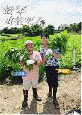 综艺节目免费：向往的生活